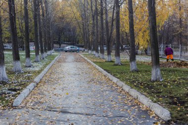 Sonbahar günü park hademe yaprakları temizler