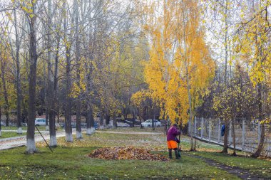 Sonbahar günü park hademe yaprakları temizler