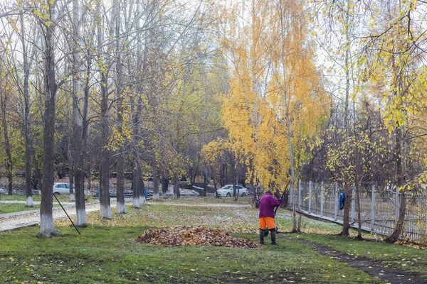 Autumn day in the park janitor cleans leaves — Stock Photo, Image
