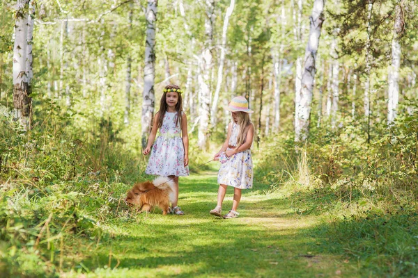 2 人の女の子のガール フレンド彼女の最愛のペット スピッツと森の中を歩いて — ストック写真