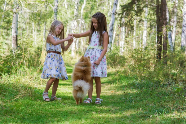 Twee meisjes vriendin wandelen in het bos met haar geliefde huisdier Spitz — Stockfoto
