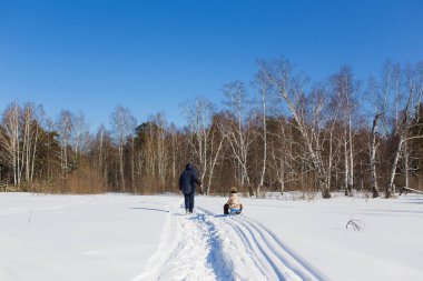 Baba taşır kızı ormanda kış soğuk günde sledging. Kızak iz kalır sonra.