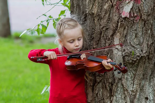 Portrét holčičky hrál na housle v parku na letní den — Stock fotografie