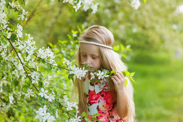 Adorable little girl in blooming apple tree garden on beautiful spring day. Cute child picking fresh apple tree flowers at spring. — Stock Photo, Image