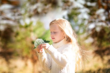 İlk bahar çiçekleri