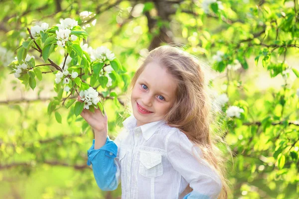 Menina adorável no jardim da macieira florescendo no belo dia de primavera. Criança bonito colhendo flores de maçã fresca no sprin — Fotografia de Stock