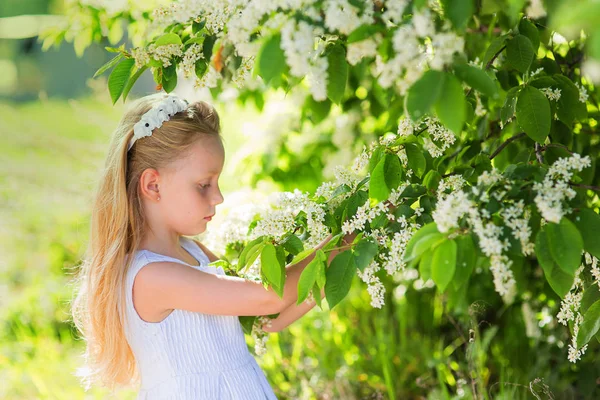 Menina bonita com cabelos longos ao lado da árvore cereja floração em um dia de verão no parque — Fotografia de Stock