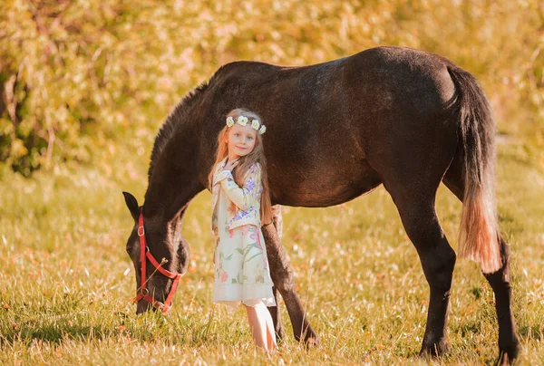 Une fille douce marche avec un cheval un soir d'été — Photo