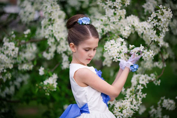 Ornate beautiful girl with a hairdo on a holiday against the background of blossoming apple trees in the park in summer — Stock Photo, Image