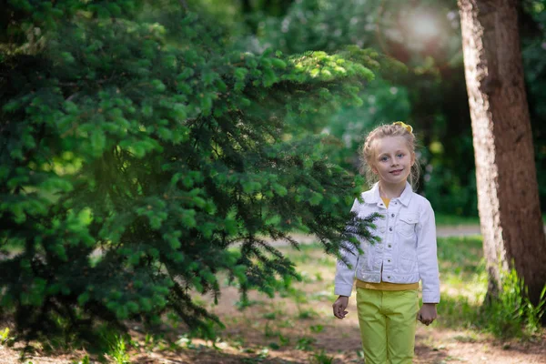 Uma garota bonita está andando em um parque de verão em um dia ensolarado — Fotografia de Stock