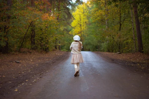 Seorang gadis kecil berjalan di sepanjang jalan hujan basah di hutan musim gugur. Tampilan belakang . — Stok Foto
