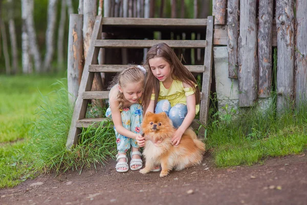 Duas meninas com seu cão de estimação no parque de verão — Fotografia de Stock