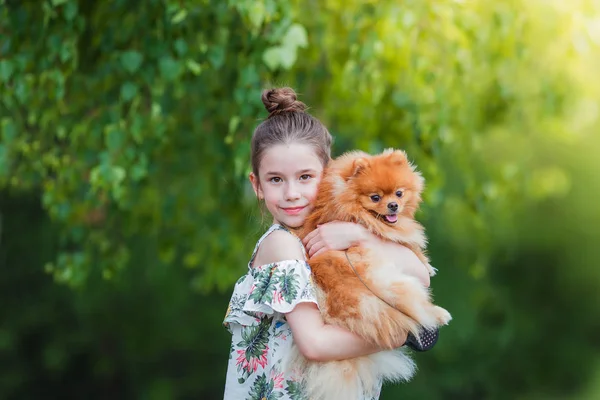 Portret van een schattig lief meisje met haar huisdier hond Spitz op een zomerdag in het park — Stockfoto