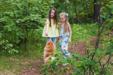İki kız arkadaşı ile bir köpek bir yaz parkta oynarken