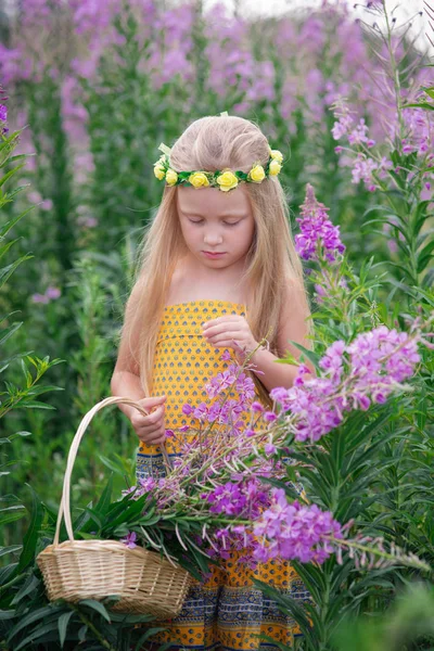 Niña con una cesta recoge flores — Foto de Stock