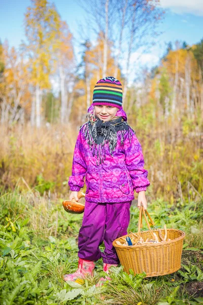 Urocza dziewczynka czepiam letni dzień brusznice w lesie — Zdjęcie stockowe