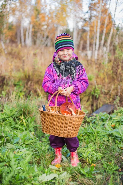 Raccolta di funghi, stagione per funghi - bella ragazza con cesto di funghi commestibili freschi raccolti — Foto Stock