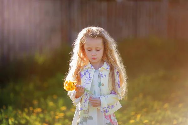 庭で夕方には夕日でタンポポの花束と物思いにふける女の子 — ストック写真