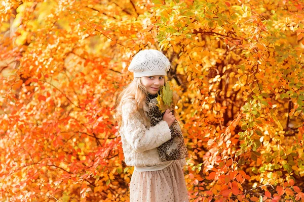 Little girl with yellow leaf. Child playing with autumn golden leaves. Kids play outdoors in the park. Children hiking in fall forest. Toddler kid under a maple tree on a sunny October day. — Stock Photo, Image