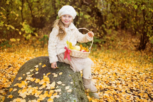 Cute little girl with basket full of red apples in autumn park — Stock Photo, Image