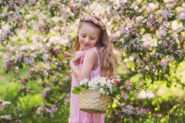 Little happy girl playing under blooming cherry tree with pink flowers. Child holding sakura blossom. Summer fun for family with kids outdoors in a beautiful spring garden. Kid with flower on Easter clipart