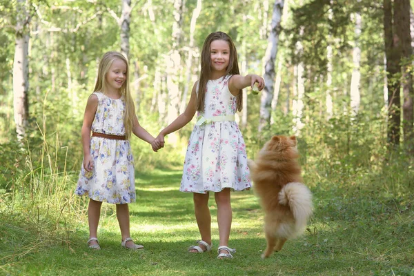 Dois amigos caminhando pela floresta com um pequeno cão em um dia de verão — Fotografia de Stock