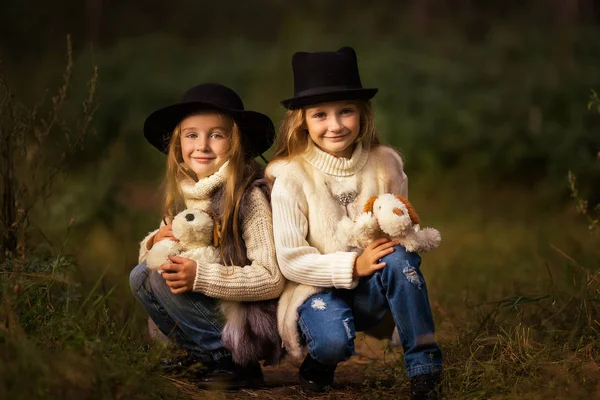Belle ragazze gemelle stanno camminando insieme nei boschi e nei loro giocattoli morbidi . — Foto Stock