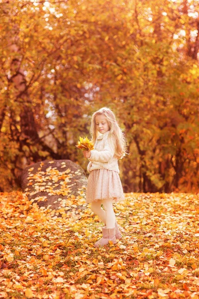 Bonito menina caminha no parque no outono — Fotografia de Stock