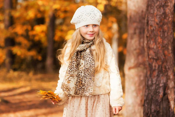 Linda niña camina en el parque en otoño —  Fotos de Stock