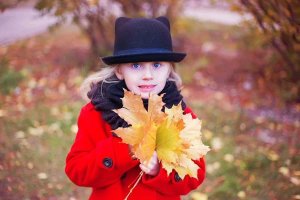 Cute little girl walks in the park in autumn — Stock Photo, Image