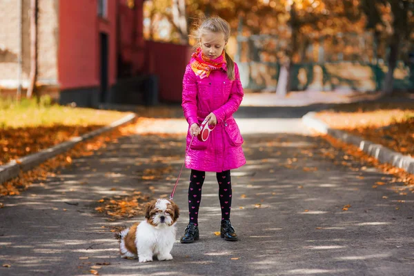 Meisje met haar favoriete puppy — Stockfoto