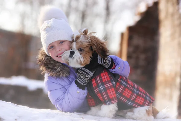 Lopen Winter Buiten Met Hondenras Shih Tzu Wandelen Sneeuw Met — Stockfoto