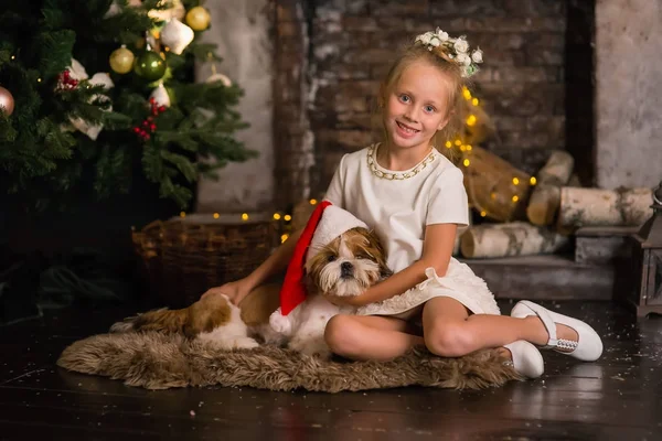 Девочка Сидит Улыбается Обнимается Собака Позирует Перед Камерой Праздничной Новогодней — стоковое фото