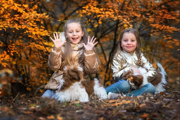 Duas Amigas Brincando Com Cachorro Parque — Fotografia de Stock