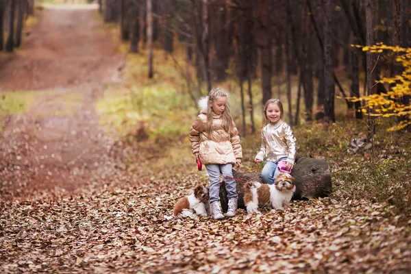 Twee Mooie Lachende Meisje Zusters Puppies Wandelen Herfst Park — Stockfoto