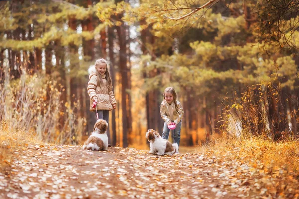 Güzel Gülümseyen Kız Kız Kardeş Sonbahar Park Yürüyordunuz Köpek — Stok fotoğraf