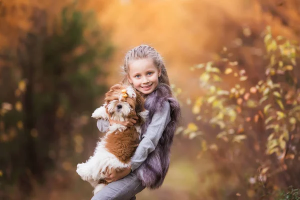 Portret Ładna Dziewczyna Kamizelka Futro Obejmując Szczeniak Puszyste Jesienny Park — Zdjęcie stockowe