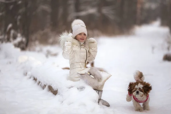 漂亮的小女孩和她的狗在冬天的雪 — 图库照片