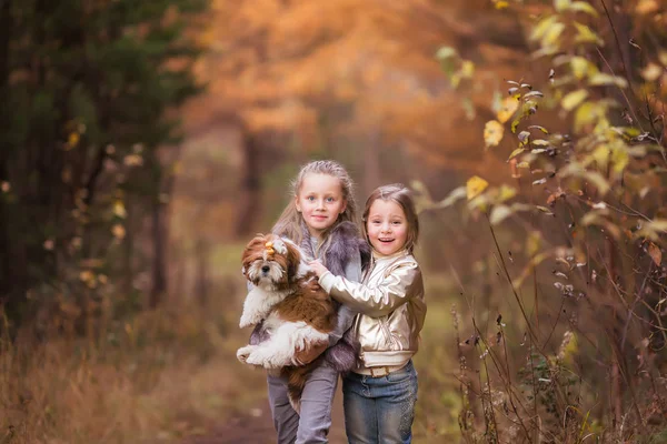 Retrato Duas Meninas Alegres Meninas Com Pequeno Cachorro Shih Tzu — Fotografia de Stock