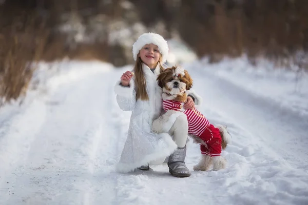 Ragazza Tuta Vergine Neve Con Cucciolo Una Foresta Invernale — Foto Stock