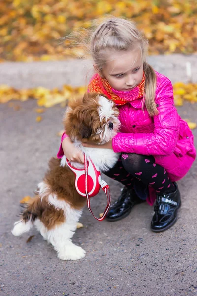 Meisje Loopt Met Pup Het Park — Stockfoto