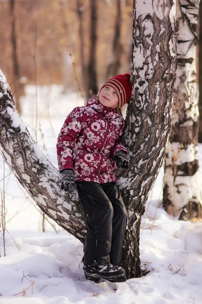 Porträt Eines Verträumten Mädchens Der Nähe Der Birke Einem Wintertag — Stockfoto