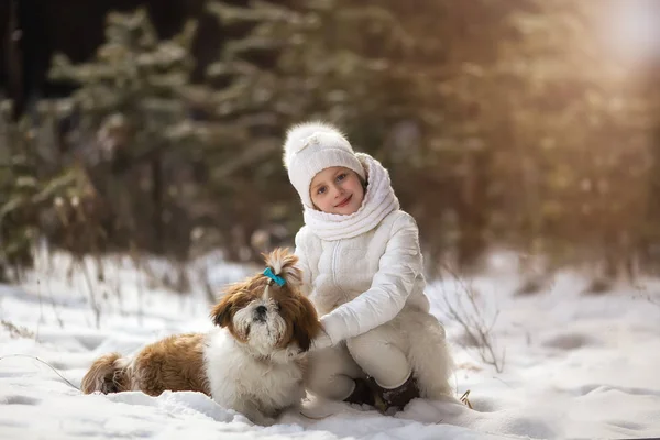 Zimowe Portret Dziewczynki Mały Pies Rasy Shih Tzu — Zdjęcie stockowe