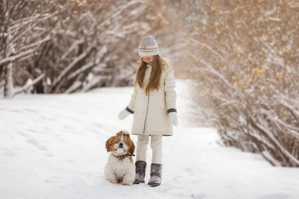 Bella Bambina Con Suo Cane Sulla Neve Inverno — Foto Stock