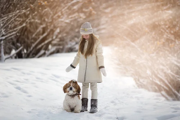 可爱的小女孩走在雪地 Lden 他心爱的狗 这个女孩在日落时欣赏一只小狗 — 图库照片