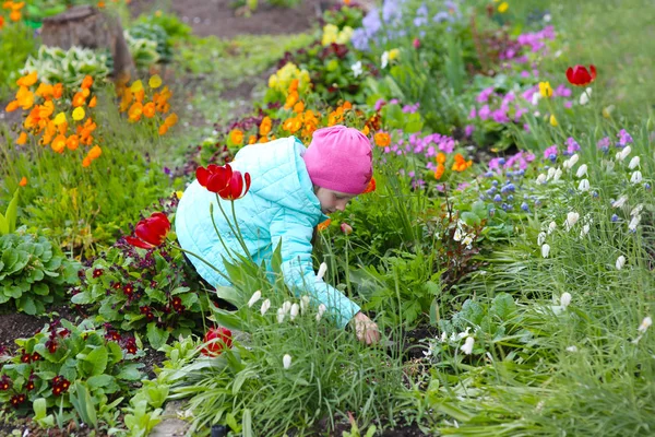 Dulce Niña Cuida Las Flores Jardín —  Fotos de Stock