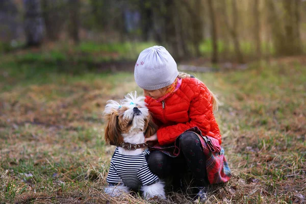 Linda Niña Mira Cachorro Favorito — Foto de Stock