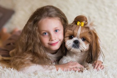 Mutlu küçük kız evde Shih Tzu 'ya sarılıyor.