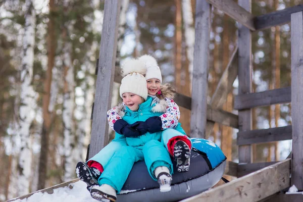 Fröhliche Mädchen Reiten Gemeinsam Einen Schlauch Von Einem Hügel Winterurlaub — Stockfoto