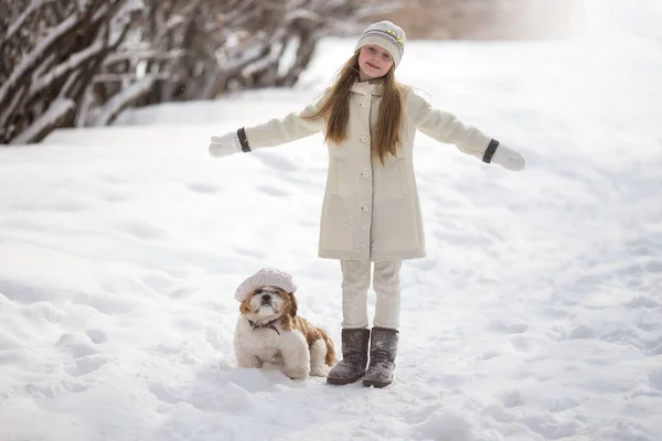 漂亮的小女孩带着她的狗在雪地里散步 — 图库照片